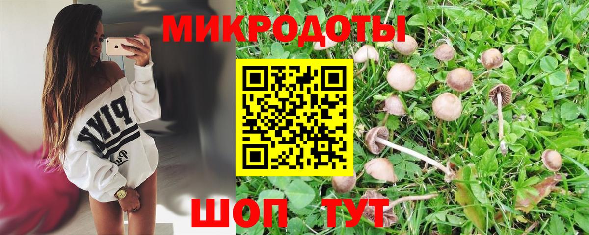 Псилоцибиновые грибы Psilocybine cubensis Наро-Фоминск